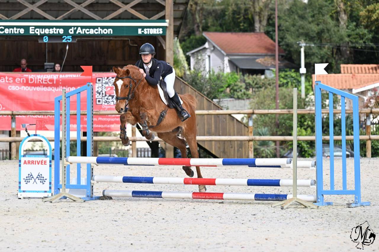 Caballo castrado Origine Constat&eacute;e En venta 2018 Alaz&aacute;n