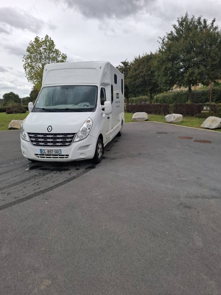 Furgoneta para caballos MTM MTM 2012 De segunda mano