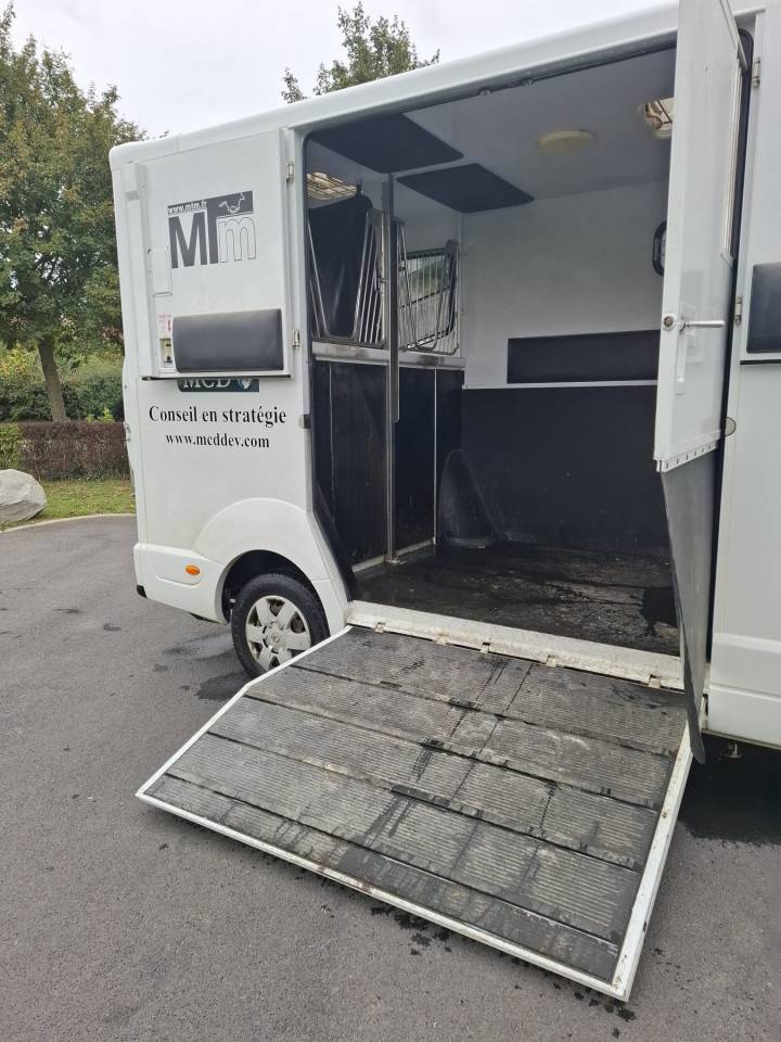 Furgoneta para caballos MTM MTM 2012 De segunda mano