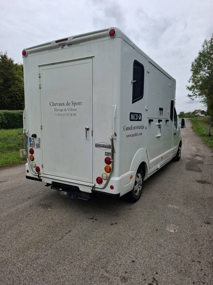 Furgoneta para caballos MTM MTM 2012 De segunda mano