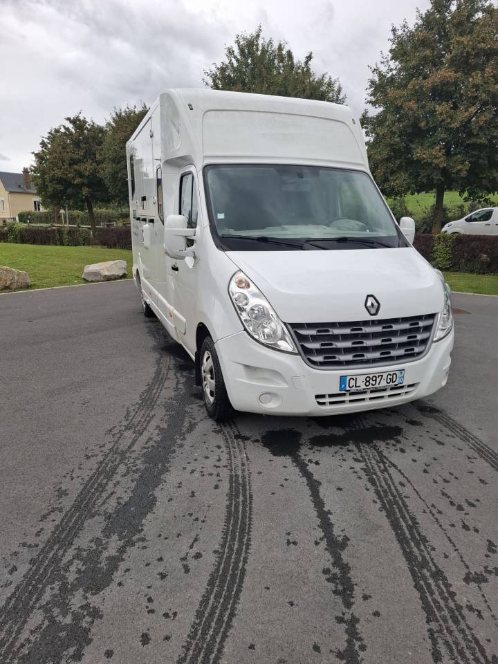 Furgoneta para caballos MTM MTM 2012 De segunda mano