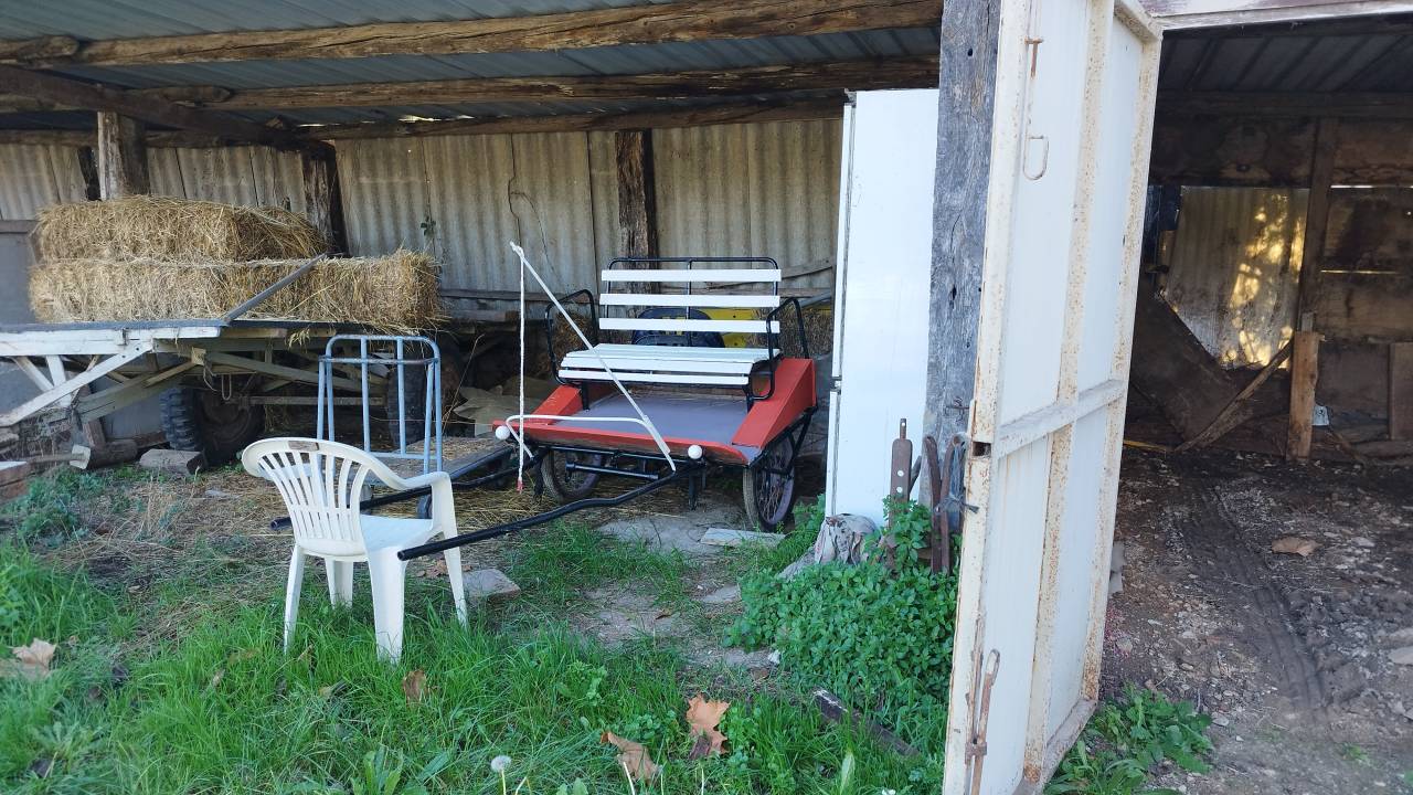 Coche enganches - Sulky poni - Otra marca -  