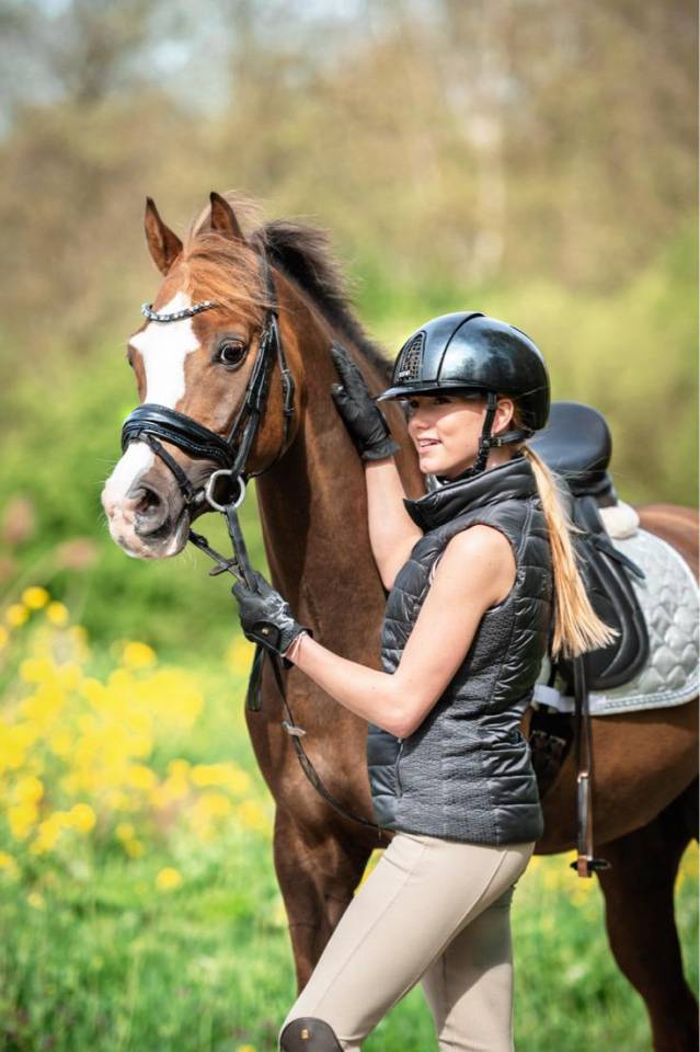 Caballo castrado Welsh Poni (Sección D), Welsh Cob  En venta 2015 Alazán tostado por King William