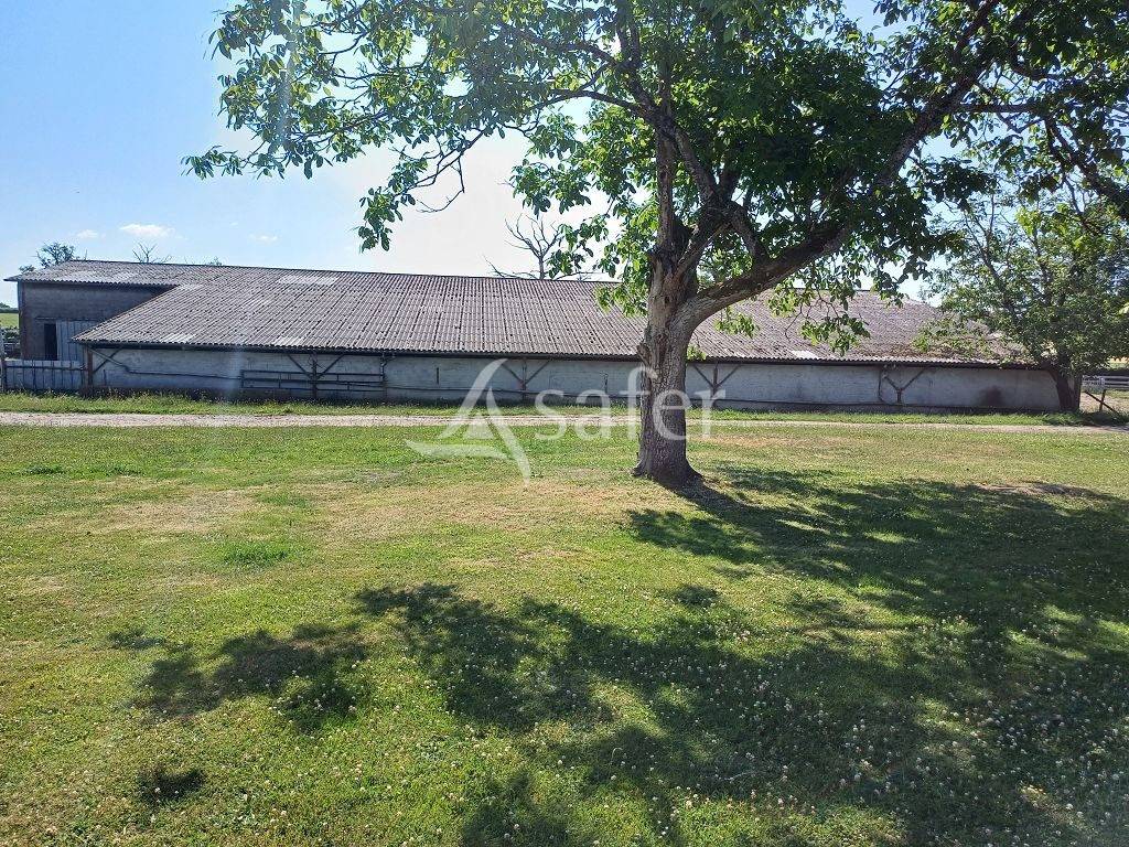 Explotación agrícola En venta Alto Vienne