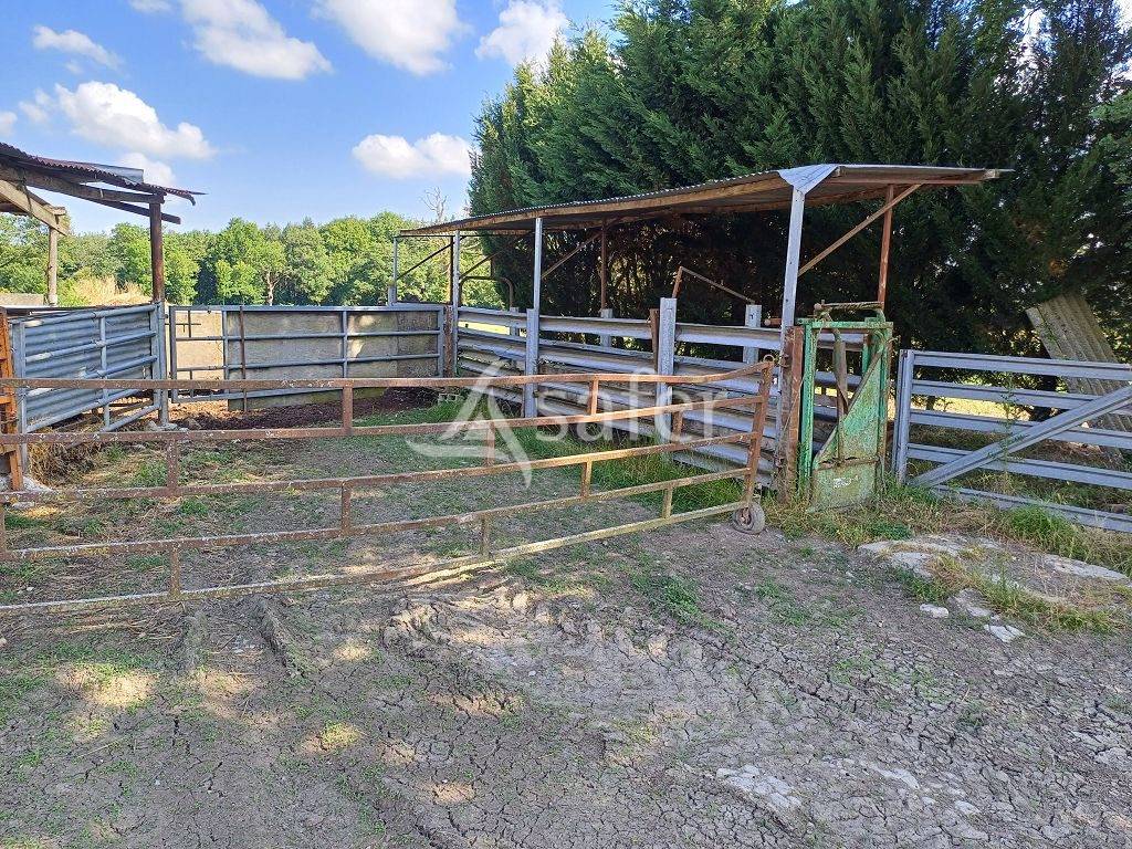 Explotación agrícola En venta Alto Vienne