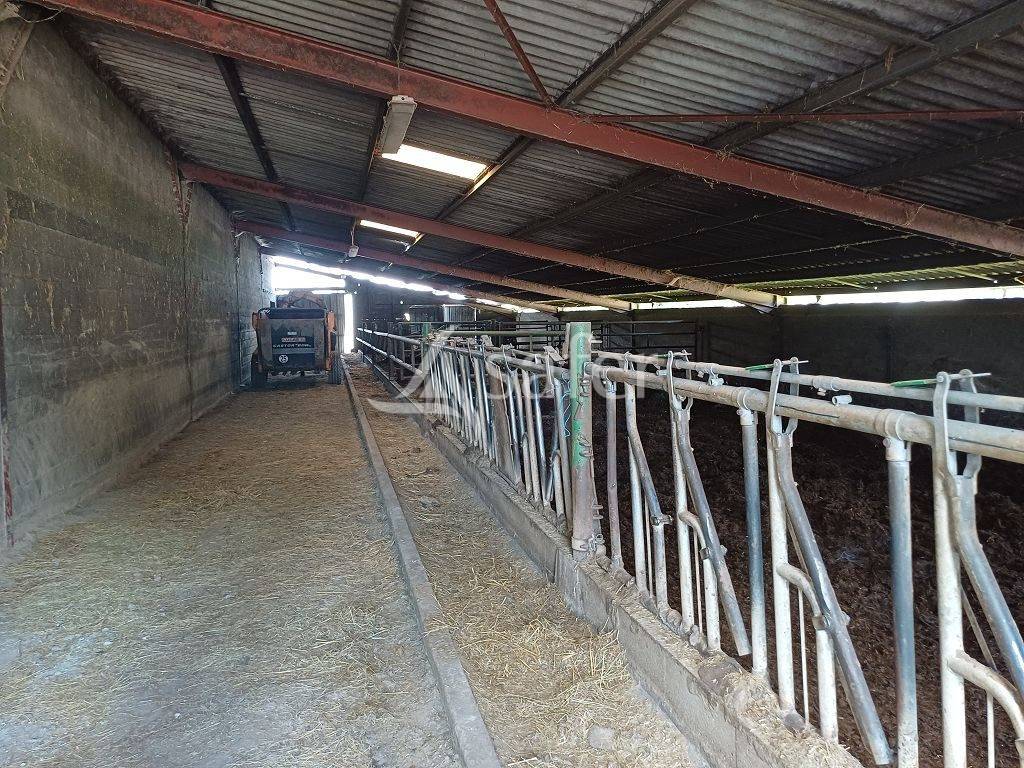 Explotación agrícola En venta Alto Vienne