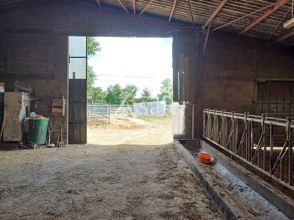 Explotación agrícola En venta Alto Vienne