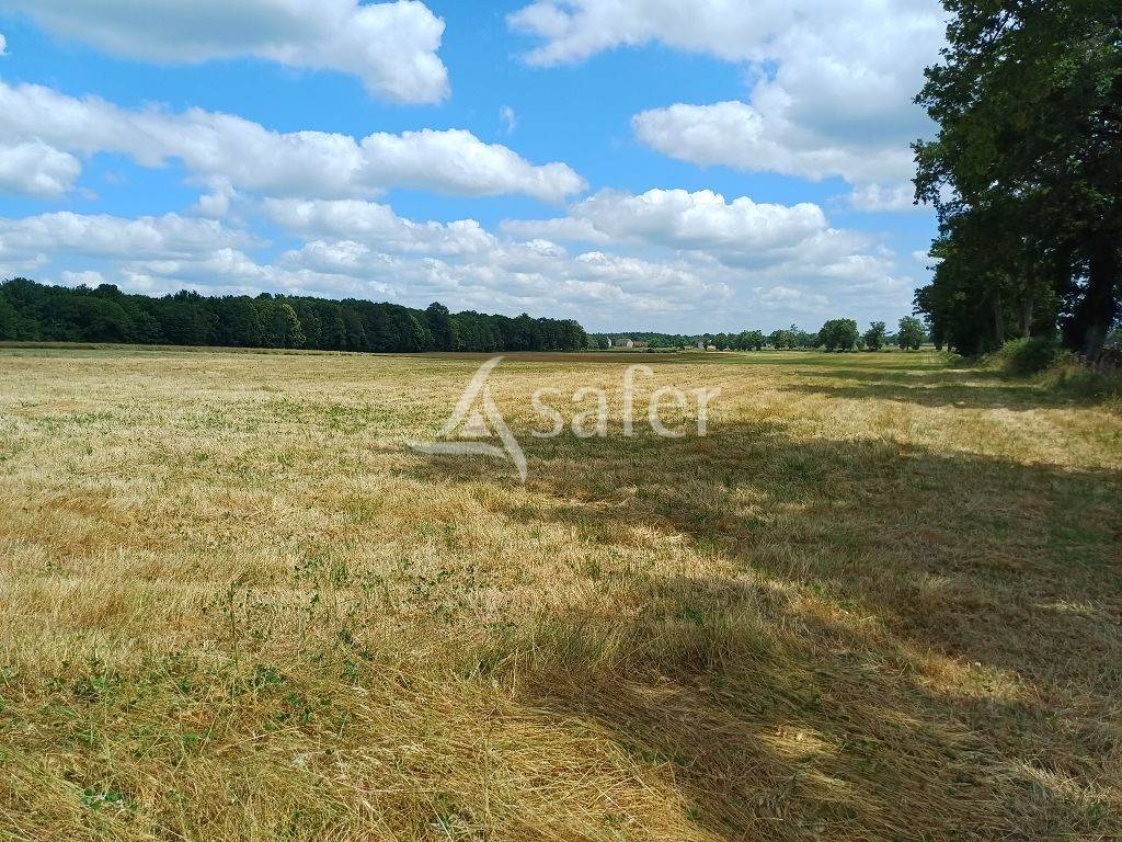 Explotación agrícola En venta Alto Vienne