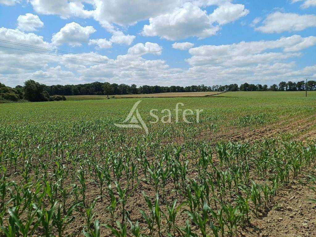 Explotación agrícola En venta Alto Vienne