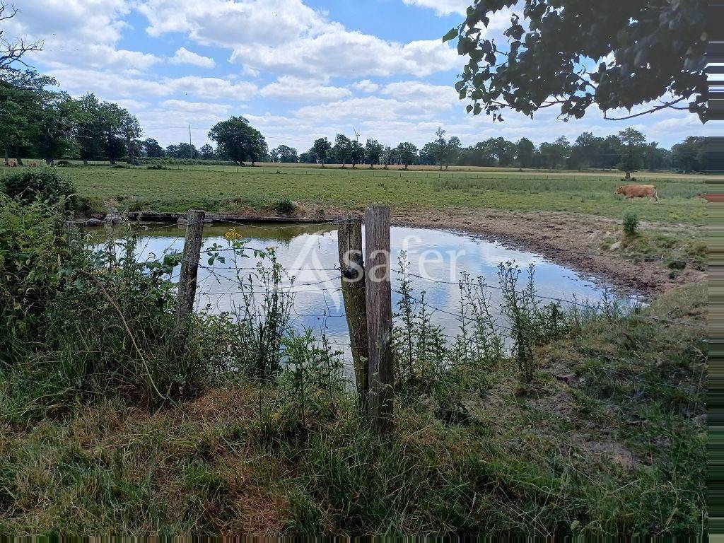 Explotación agrícola En venta Alto Vienne