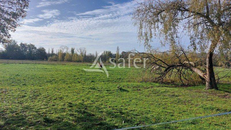 Propiedad ecuestre En venta Gironda