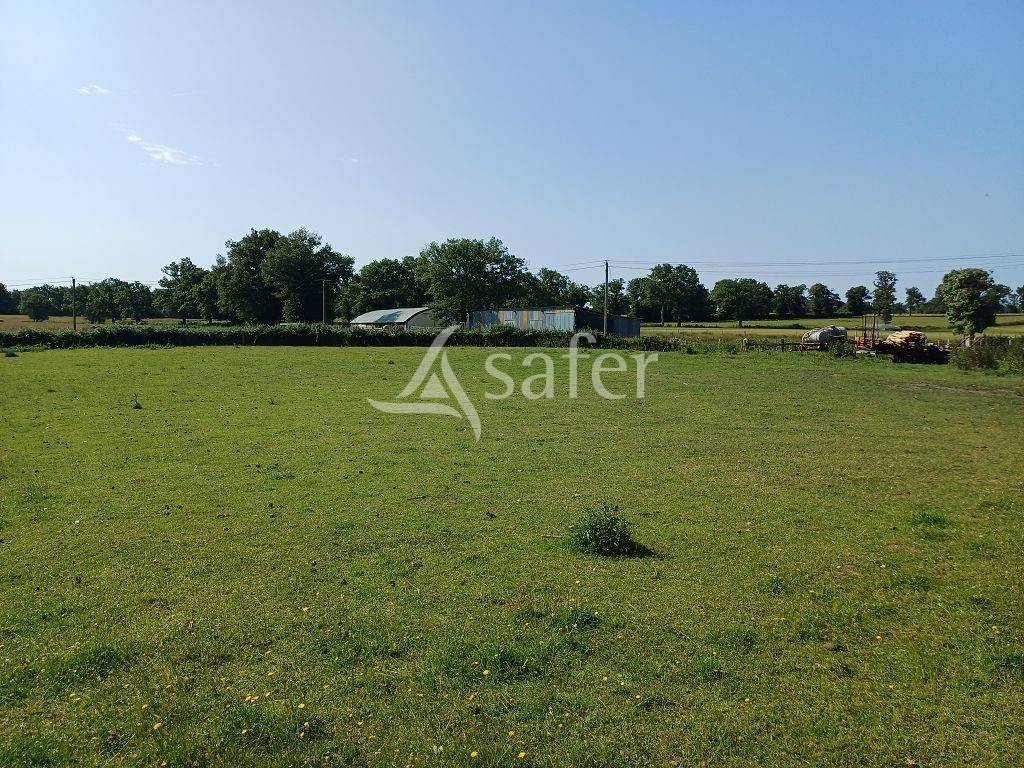 Explotación ovina En venta Alto Vienne