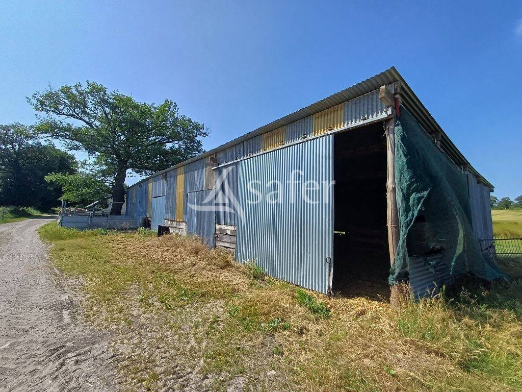 Explotación ovina En venta Alto Vienne