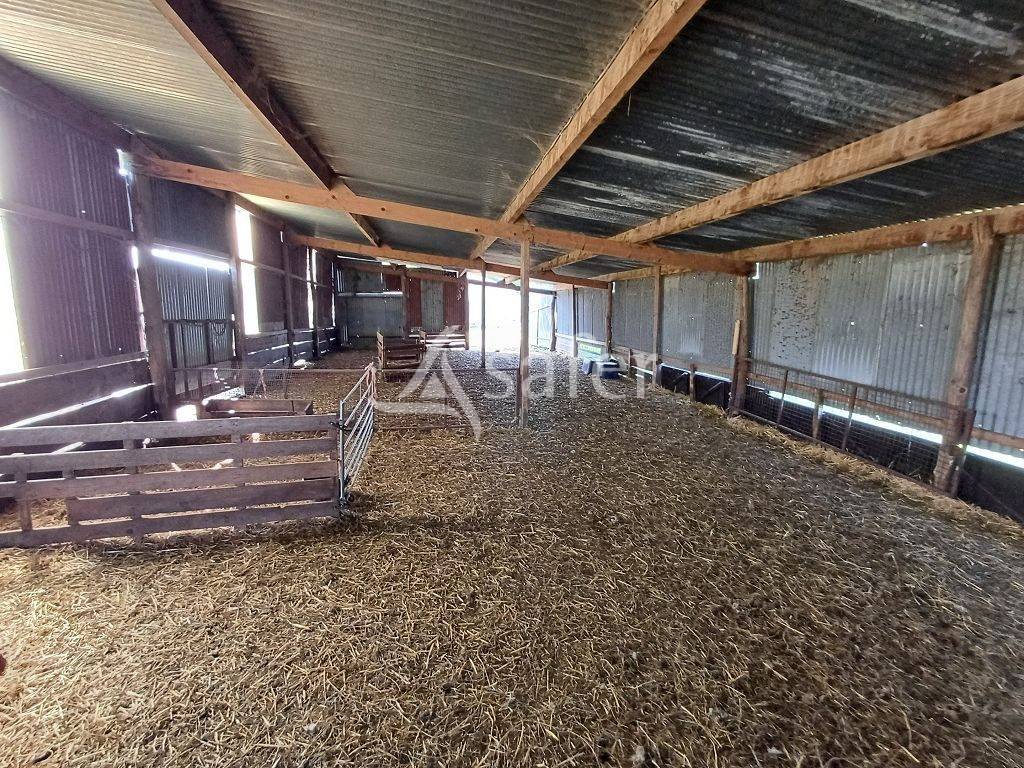 Explotación ovina En venta Alto Vienne