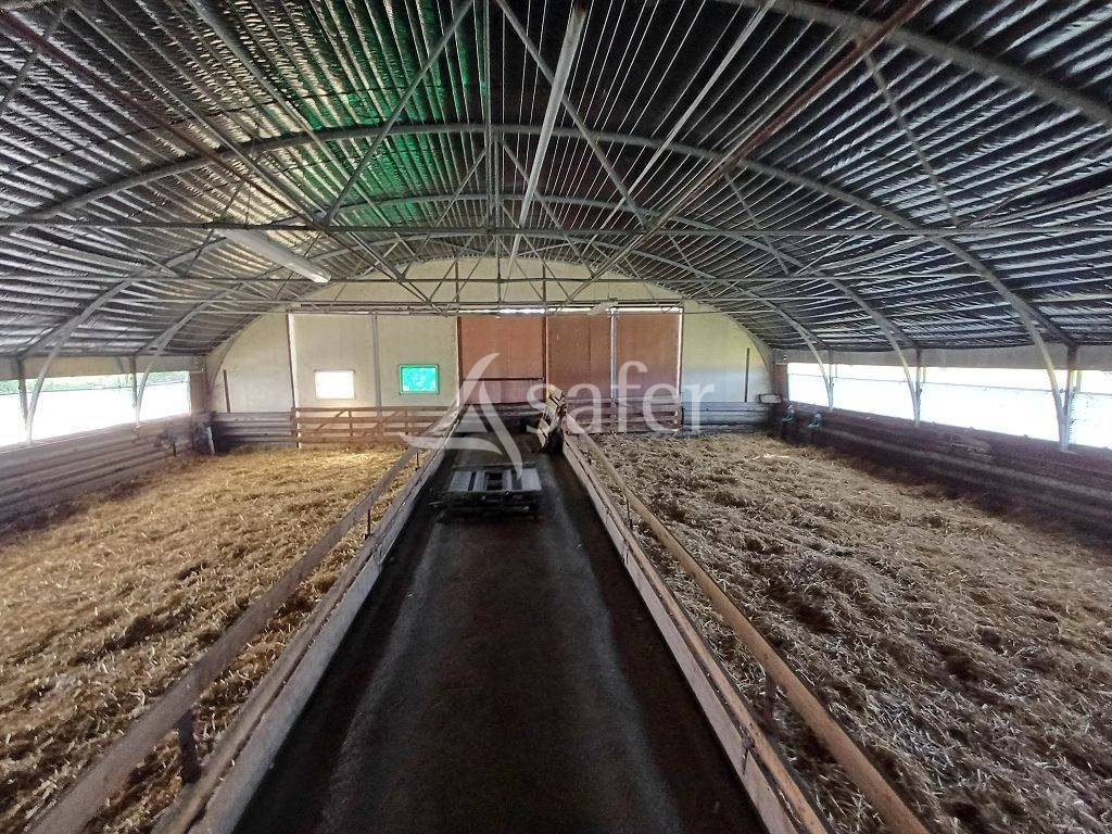 Explotación ovina En venta Alto Vienne