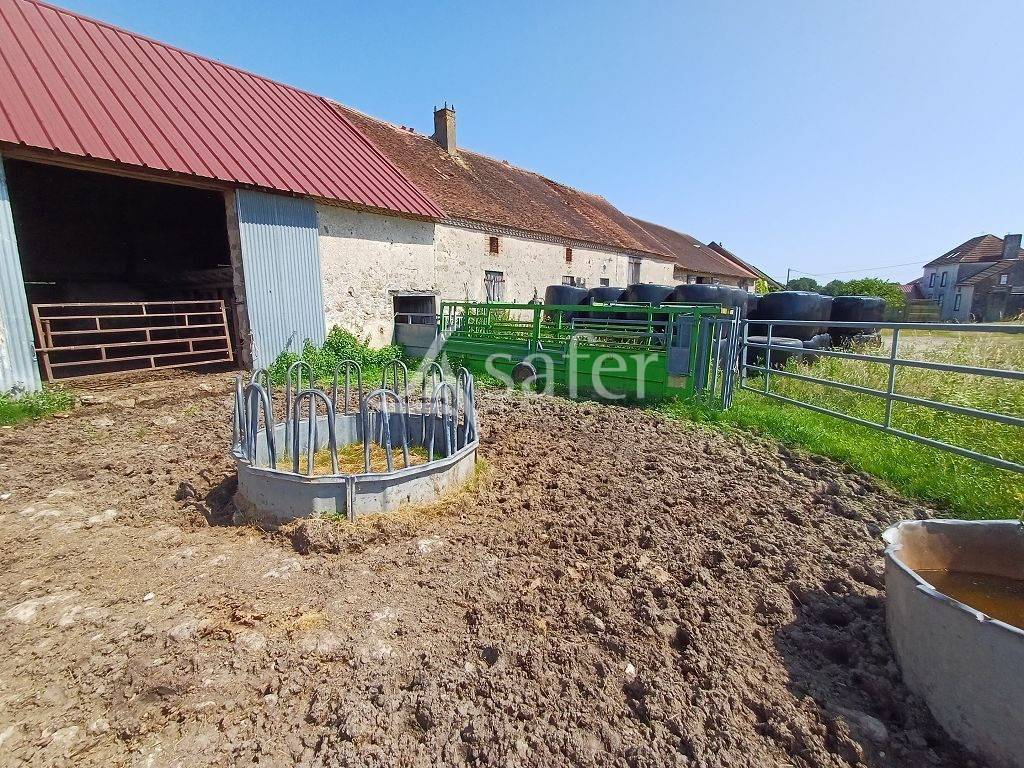 Explotación ovina En venta Alto Vienne