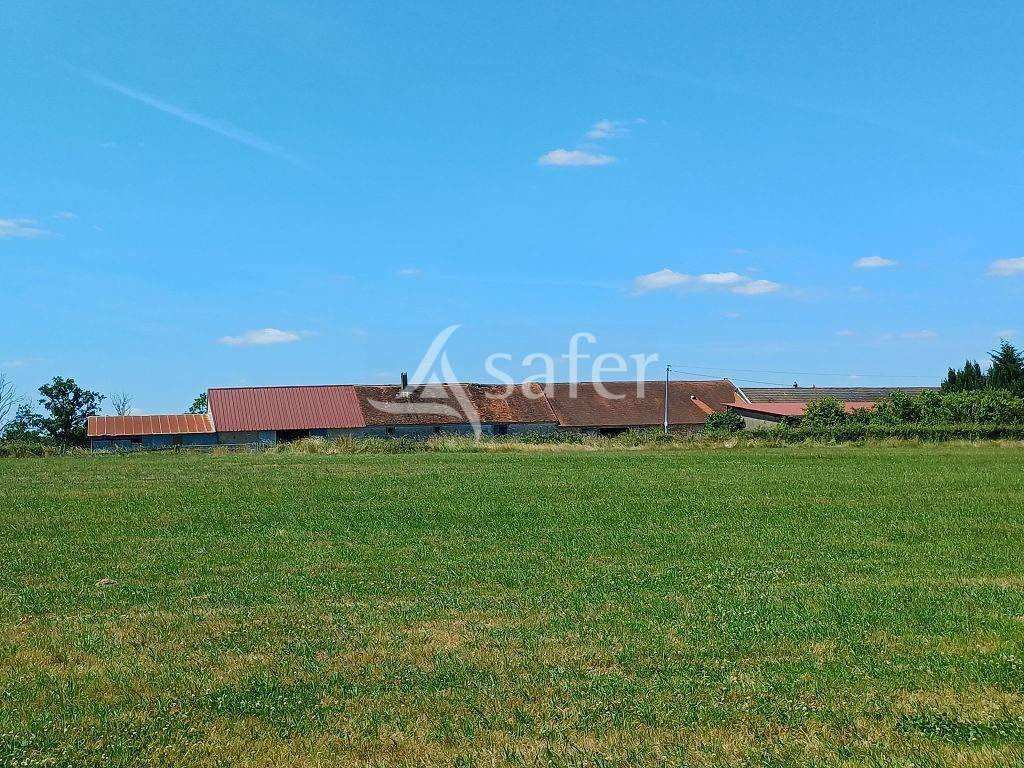 Explotación ovina En venta Alto Vienne