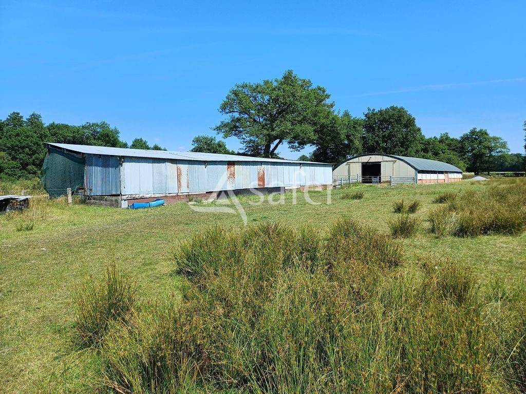 Explotación ovina En venta Alto Vienne