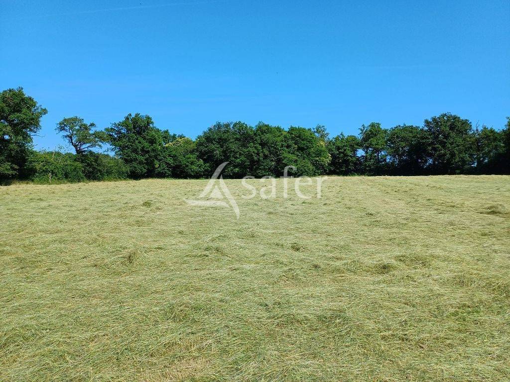 Explotación ovina En venta Alto Vienne