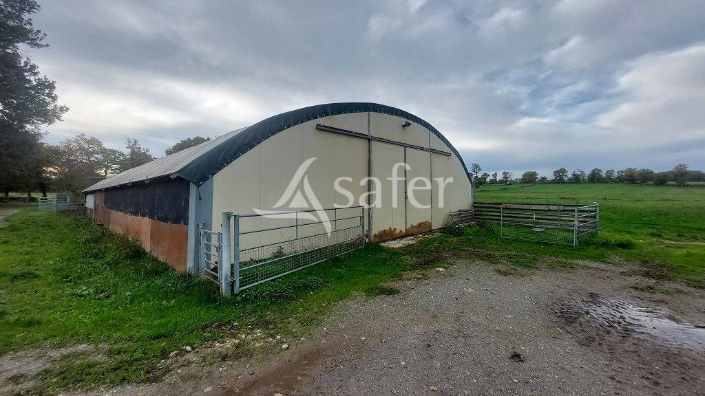 Explotación ovina En venta Alto Vienne