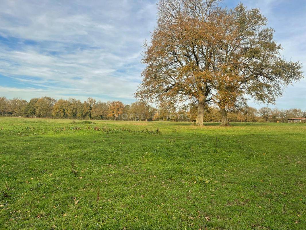 Acaballadero En venta Maine y Loira