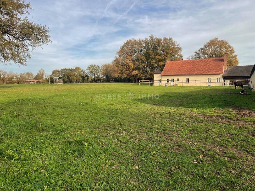 Acaballadero En venta Maine y Loira