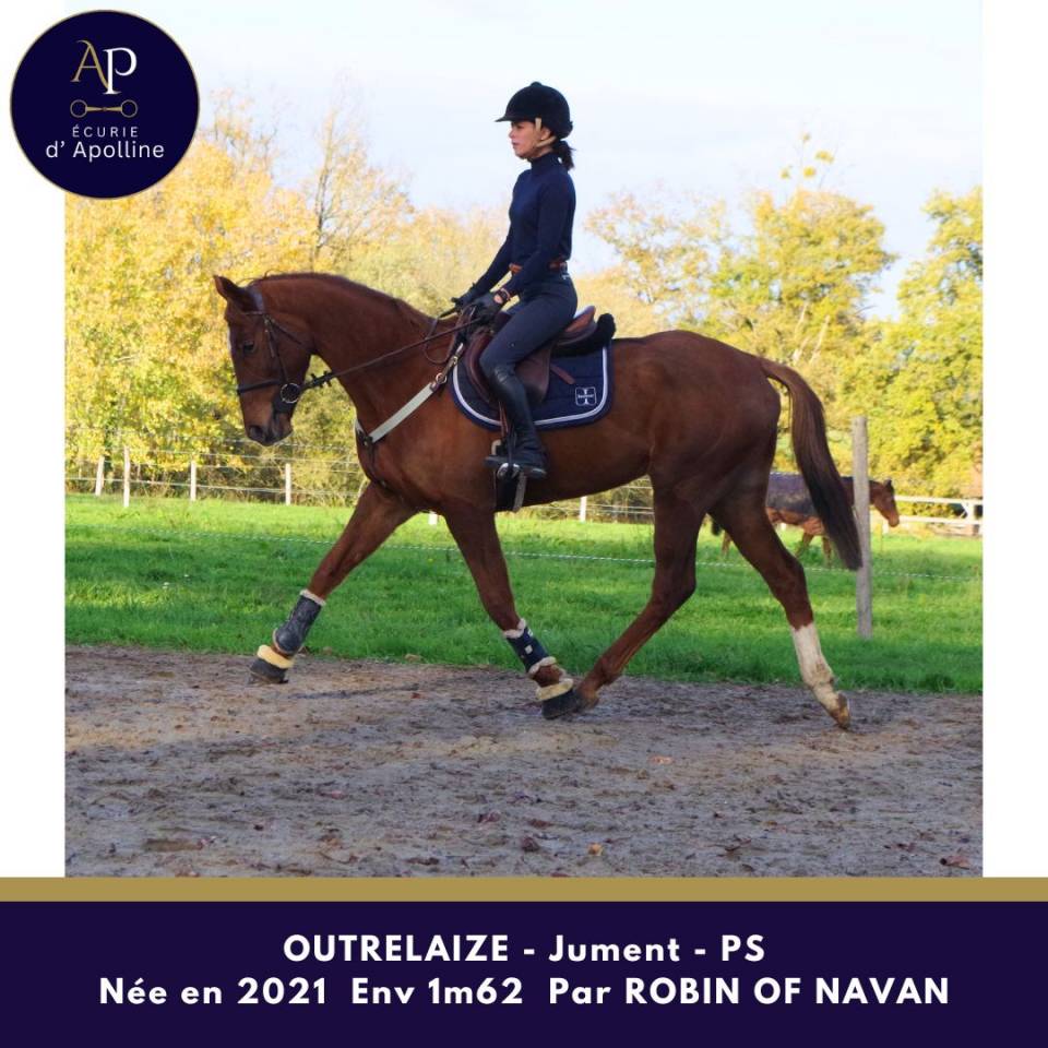 Yegua Pura Sangre En venta 2021 Alazán