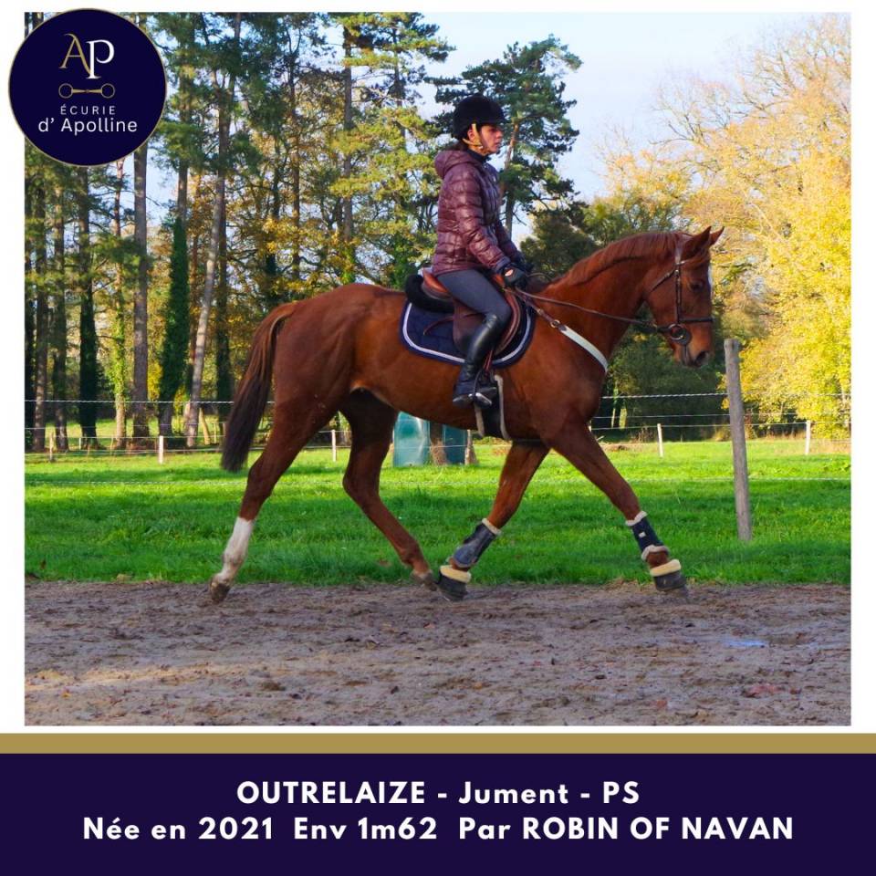 Yegua Pura Sangre En venta 2021 Alazán