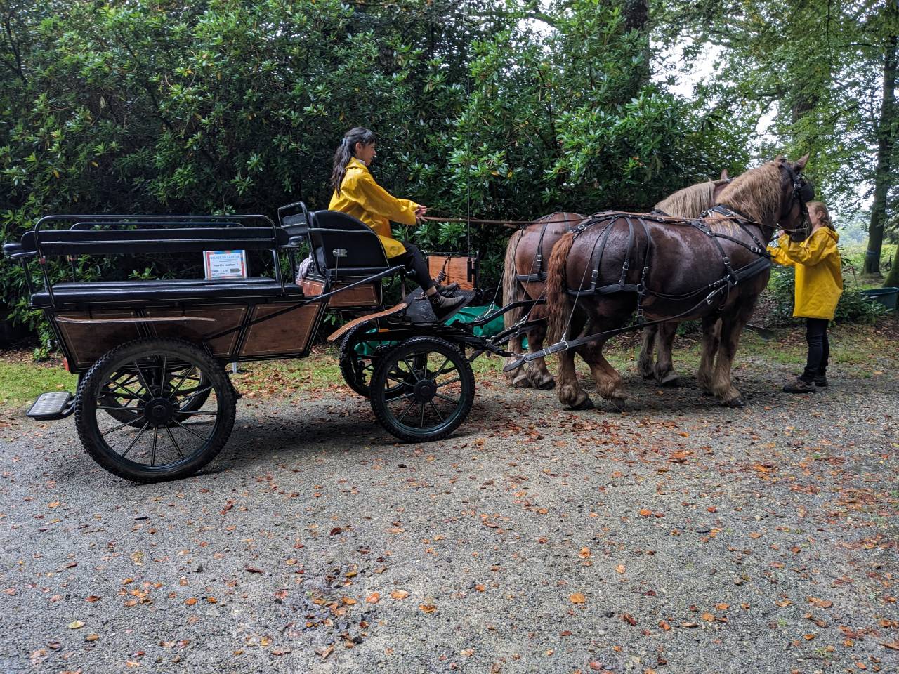 Coche enganches - Vagoneta - Otra marca -  