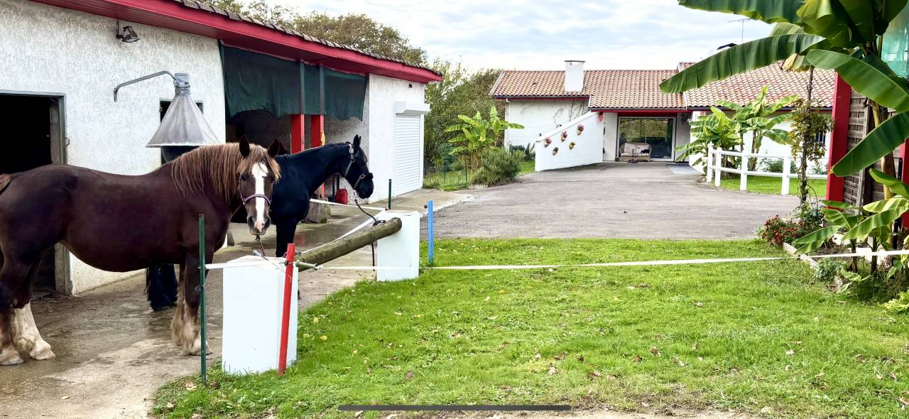 Propiedad ecuestre En venta Landas