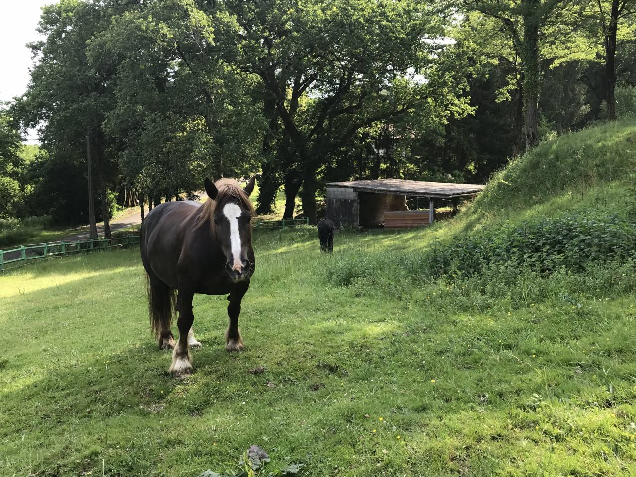 Propiedad ecuestre En venta Landas