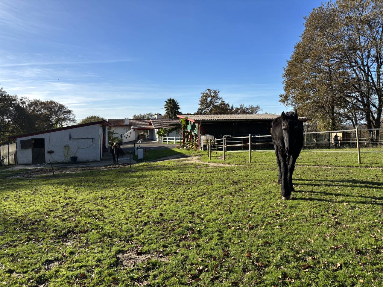 Propiedad ecuestre En venta Landas