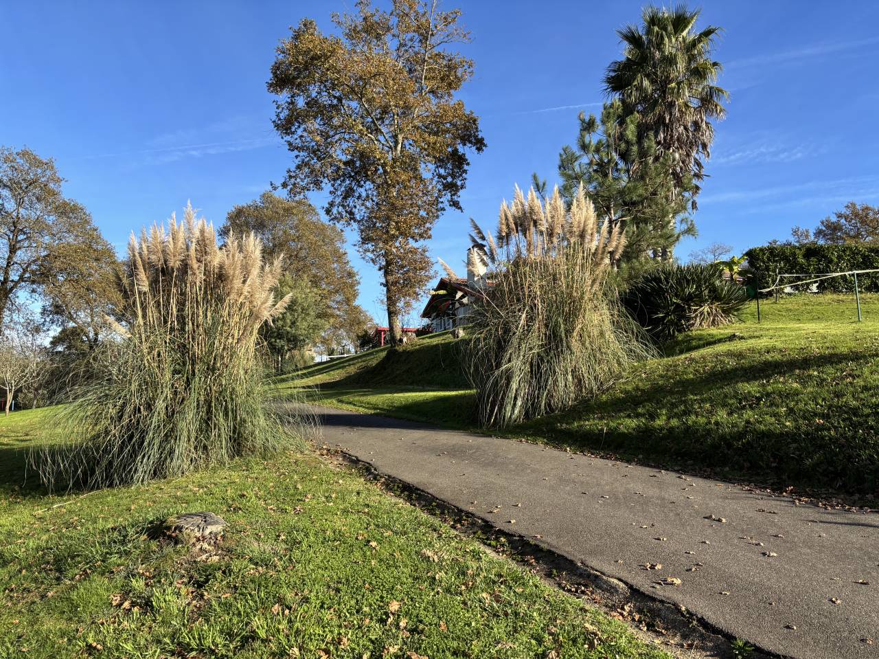 Propiedad ecuestre En venta Landas