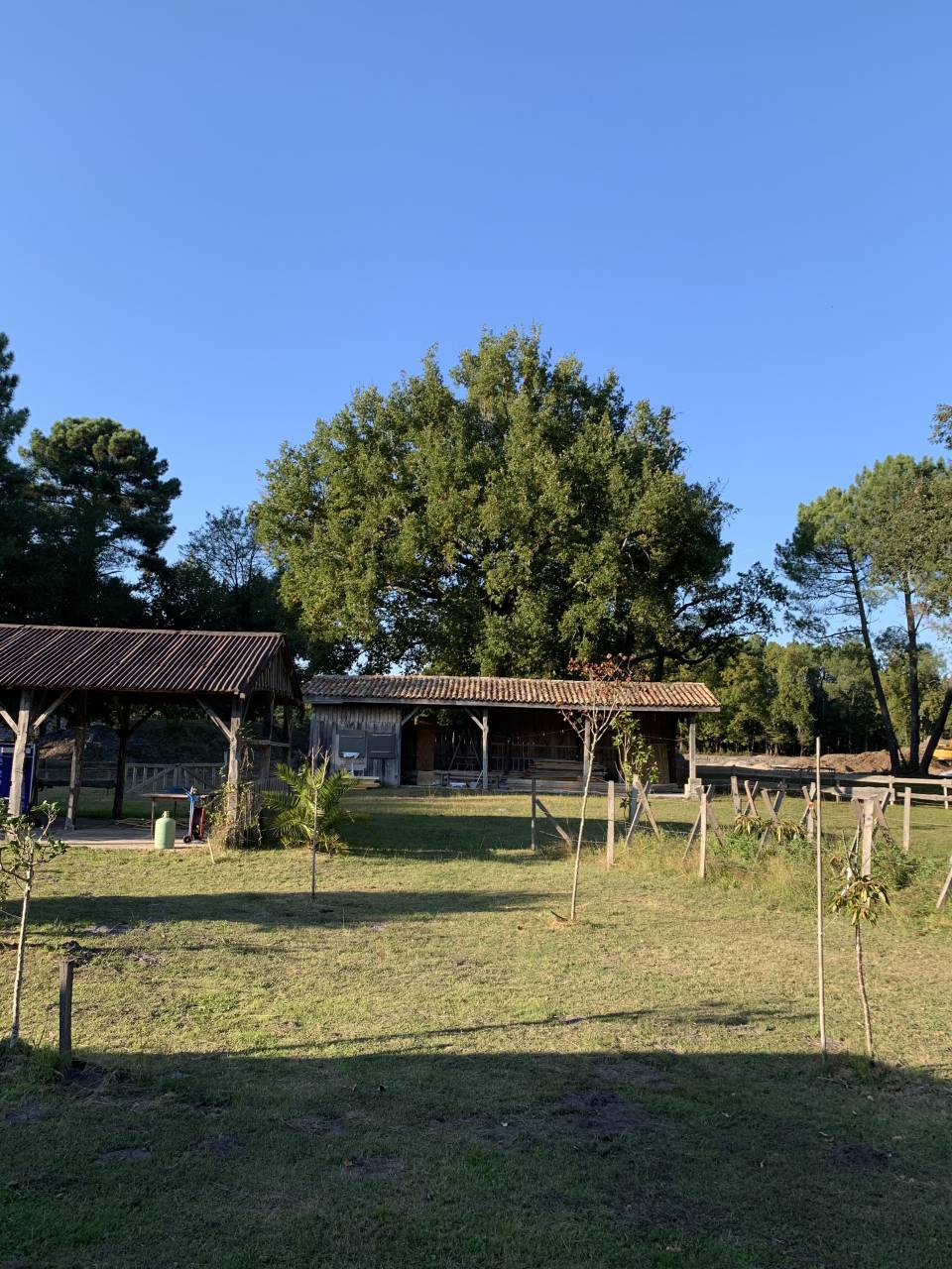 Propiedad ecuestre En venta Gironda