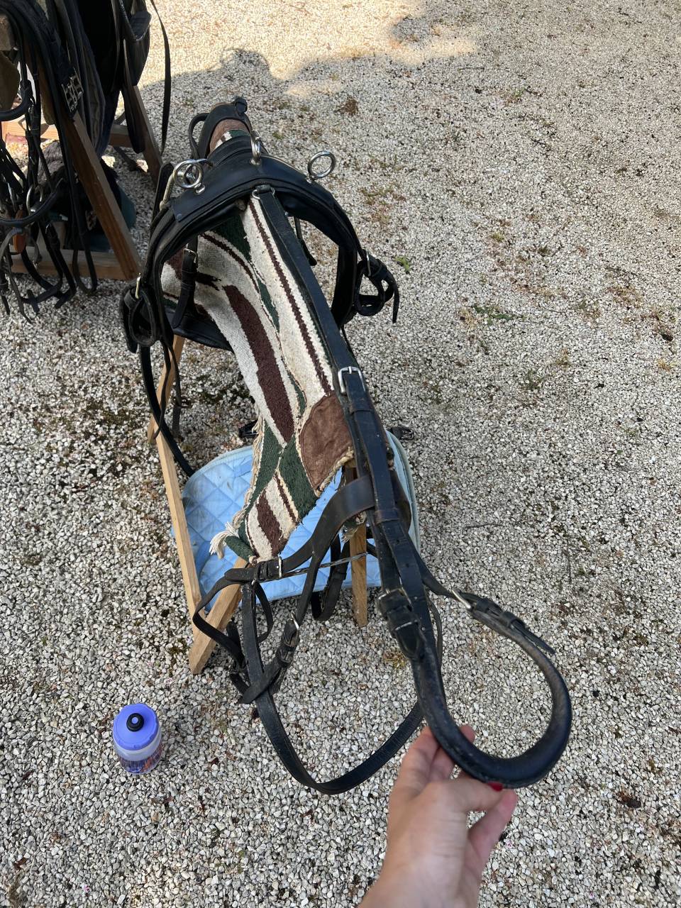 Coche enganches - Sulky poni  Sulky 