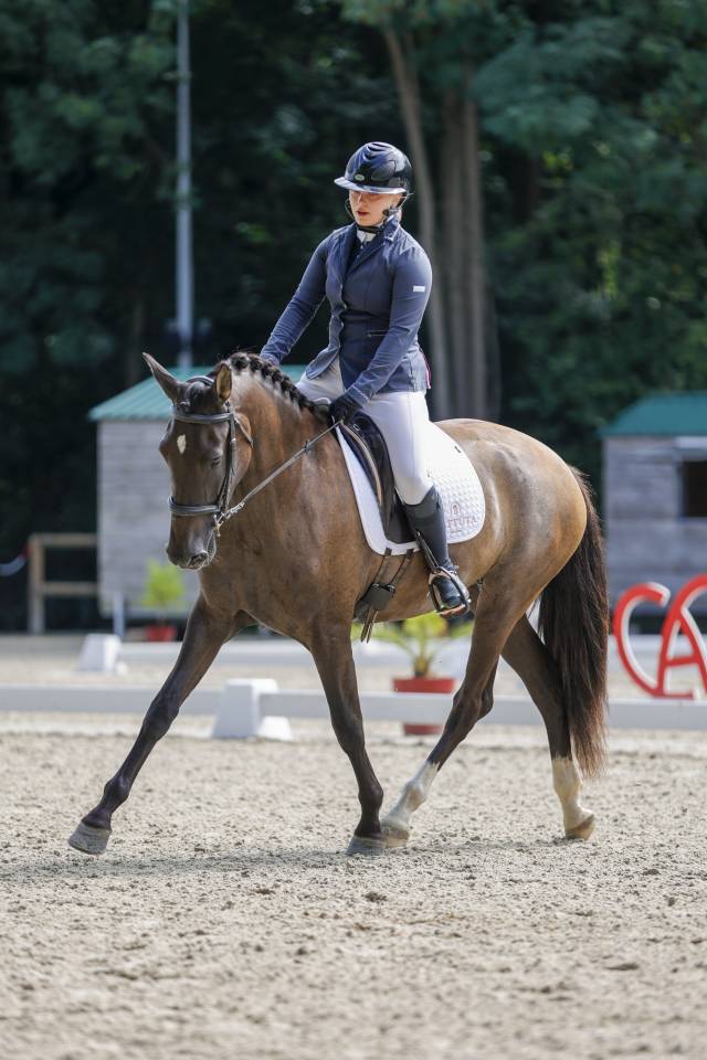 Yegua PRE Pura Raza Española En venta 2021 Negro