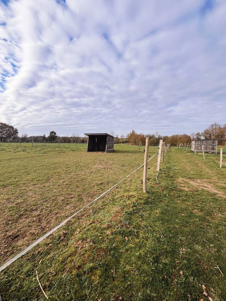 Bonita residencia ecuestre En venta Ile y Vilaine