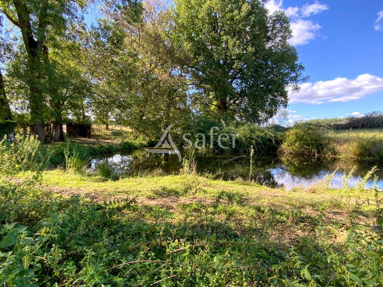 Explotación agrícola En venta Charente Marítimo