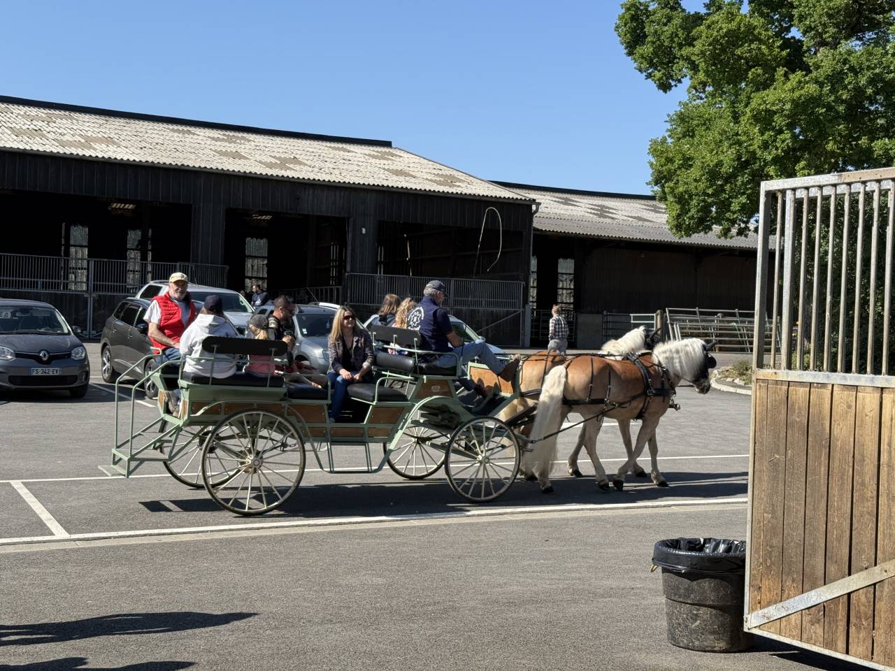 Caballo castrado Haflinger En venta 2016 Alazán