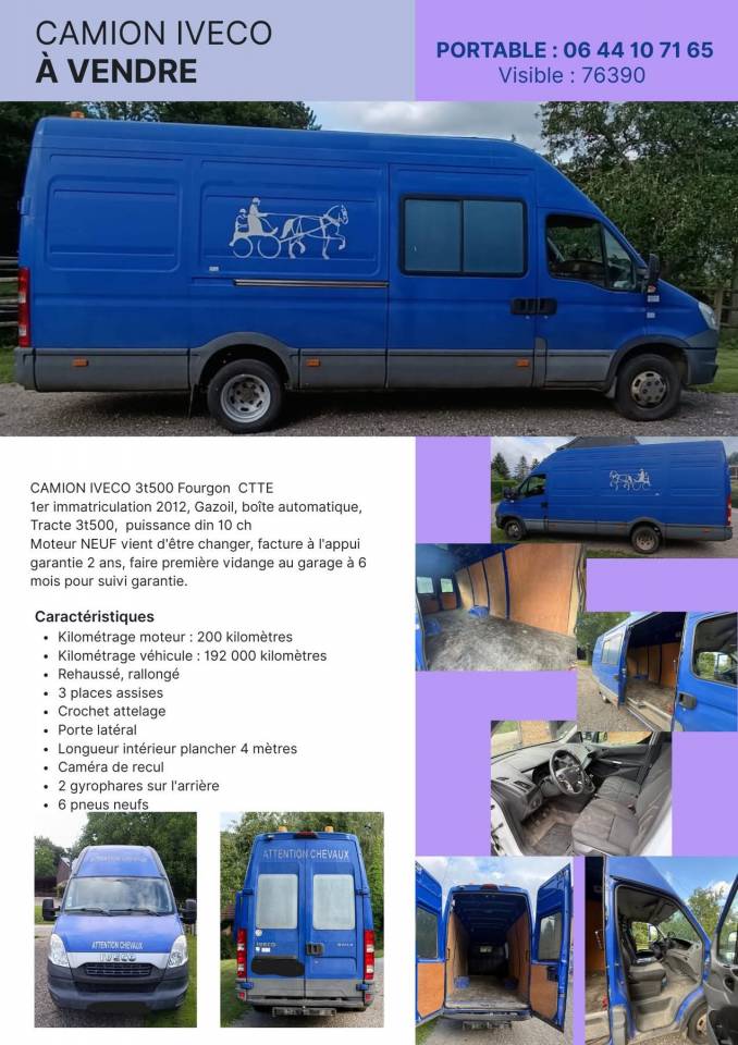 Furgoneta para caballos Iveco DAILY 2012 De segunda mano