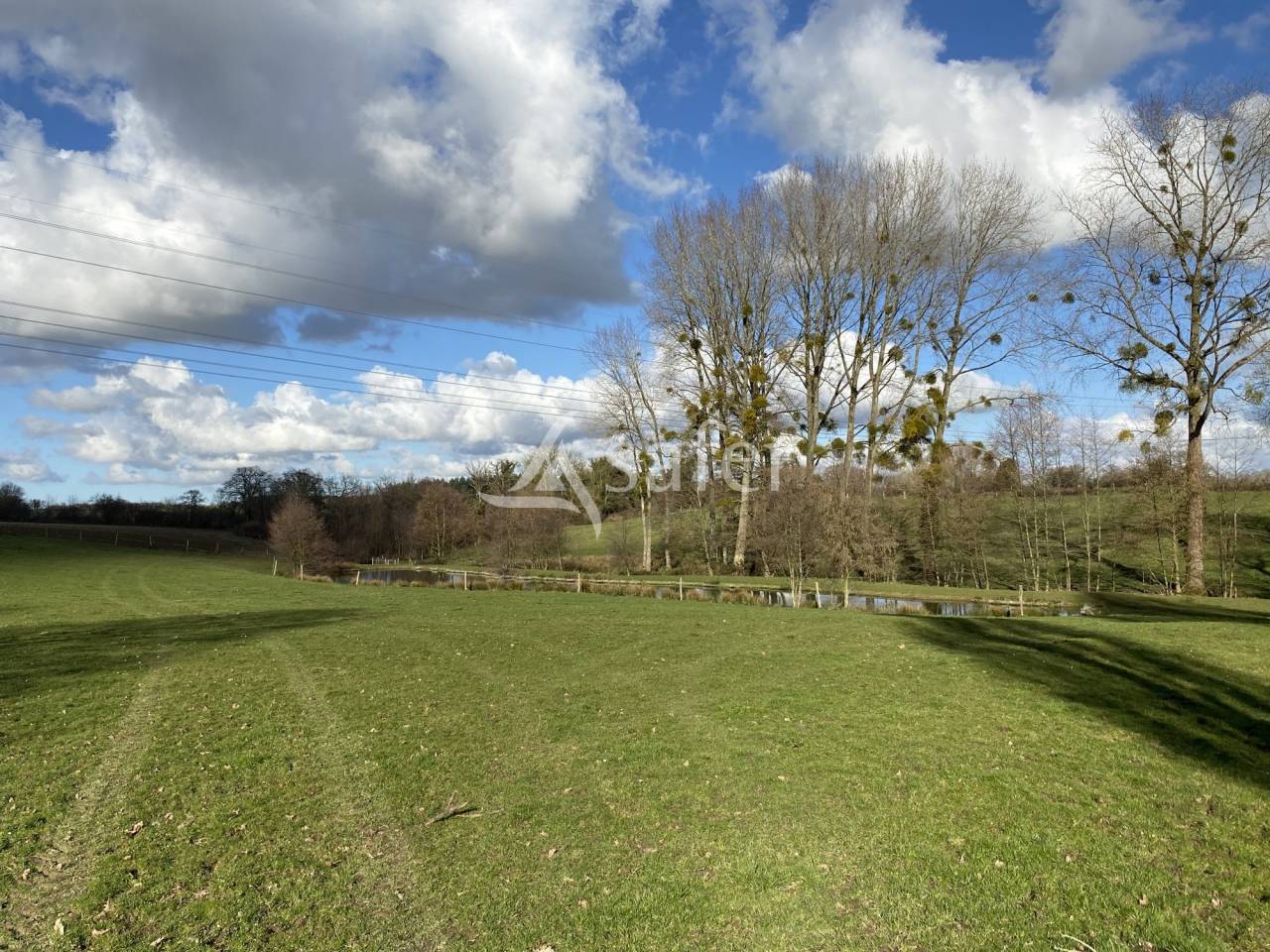 Explotación lechera En venta Calvados