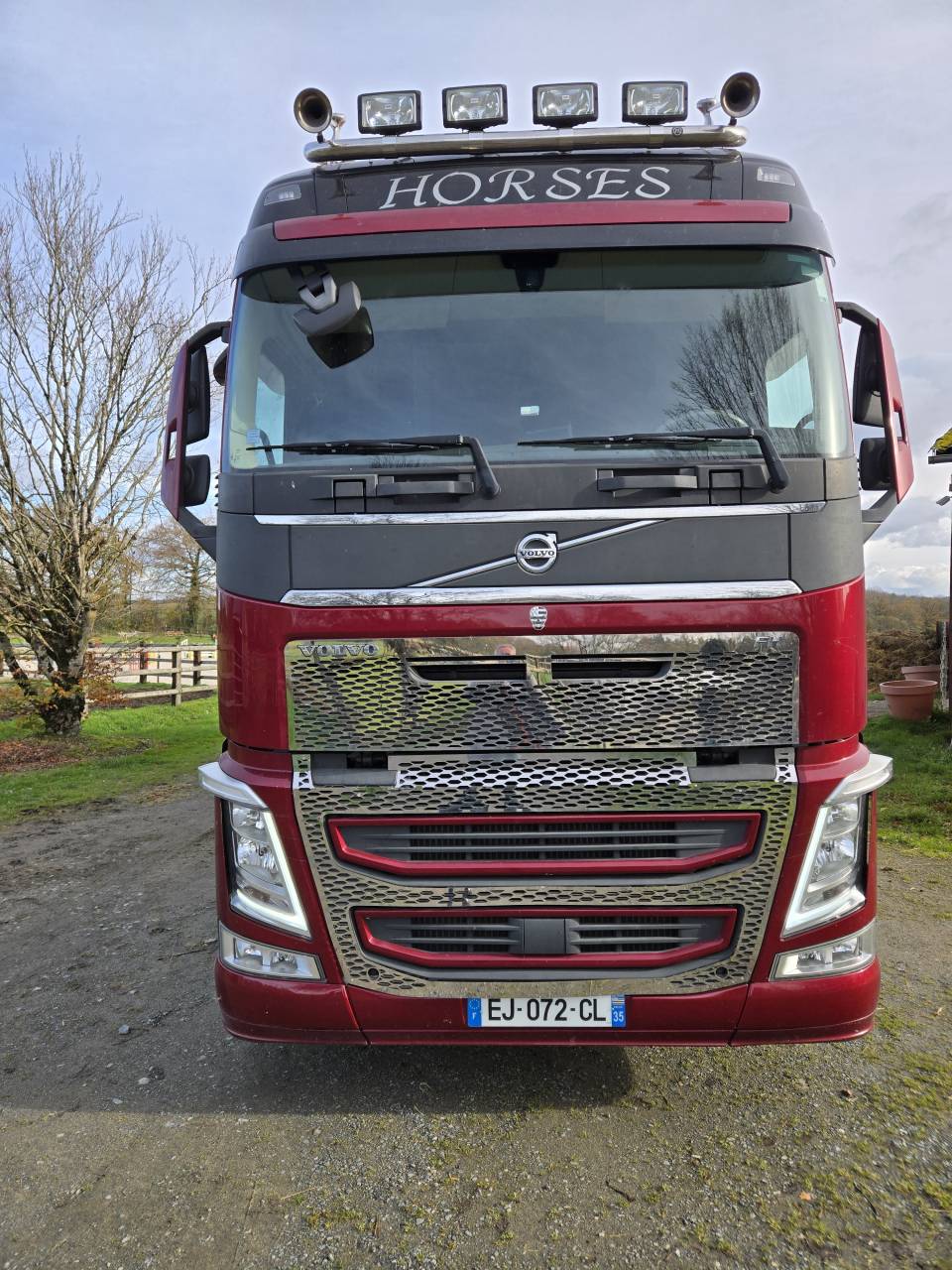 Camión para caballos Volvo FH 460CH EURO6 2017 De segunda mano