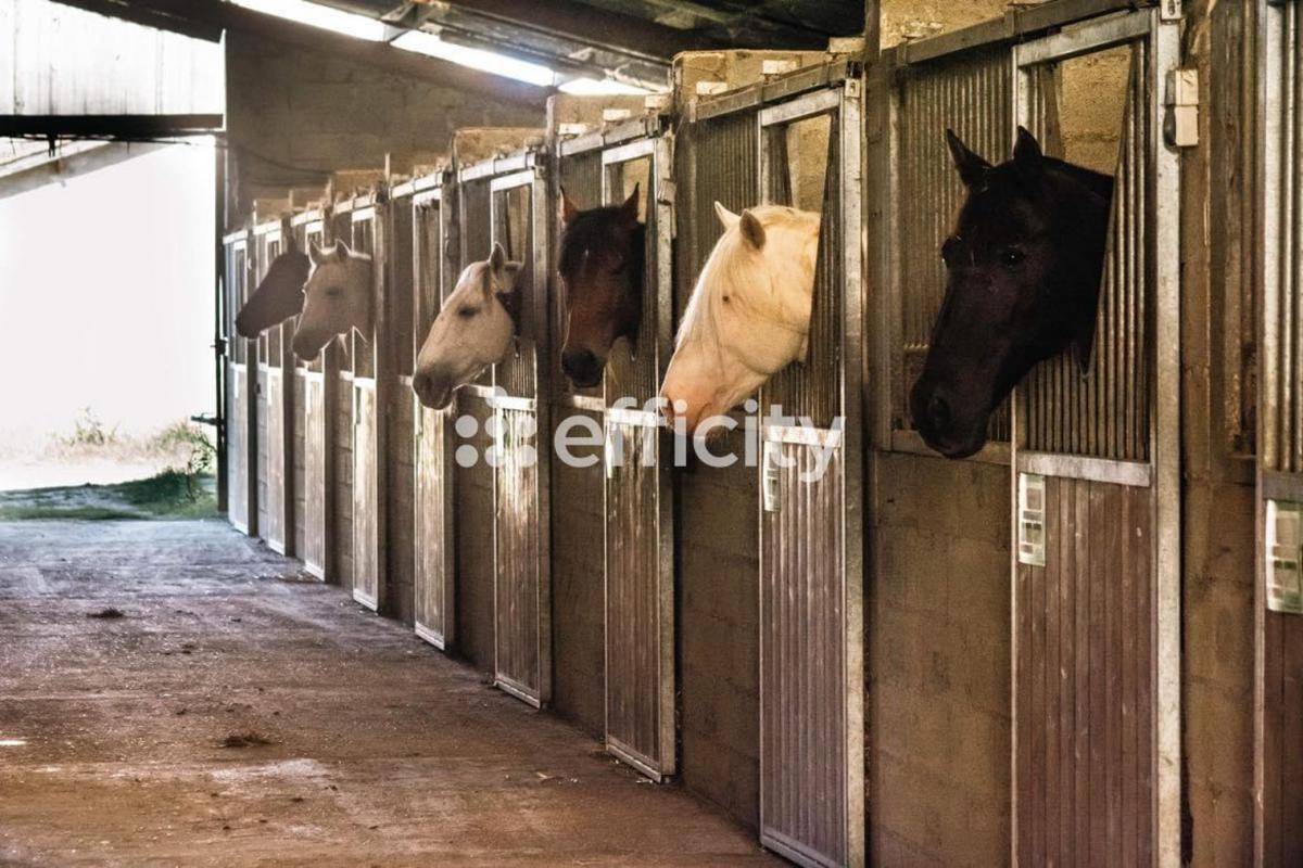 Propiedad ecuestre En venta Gers