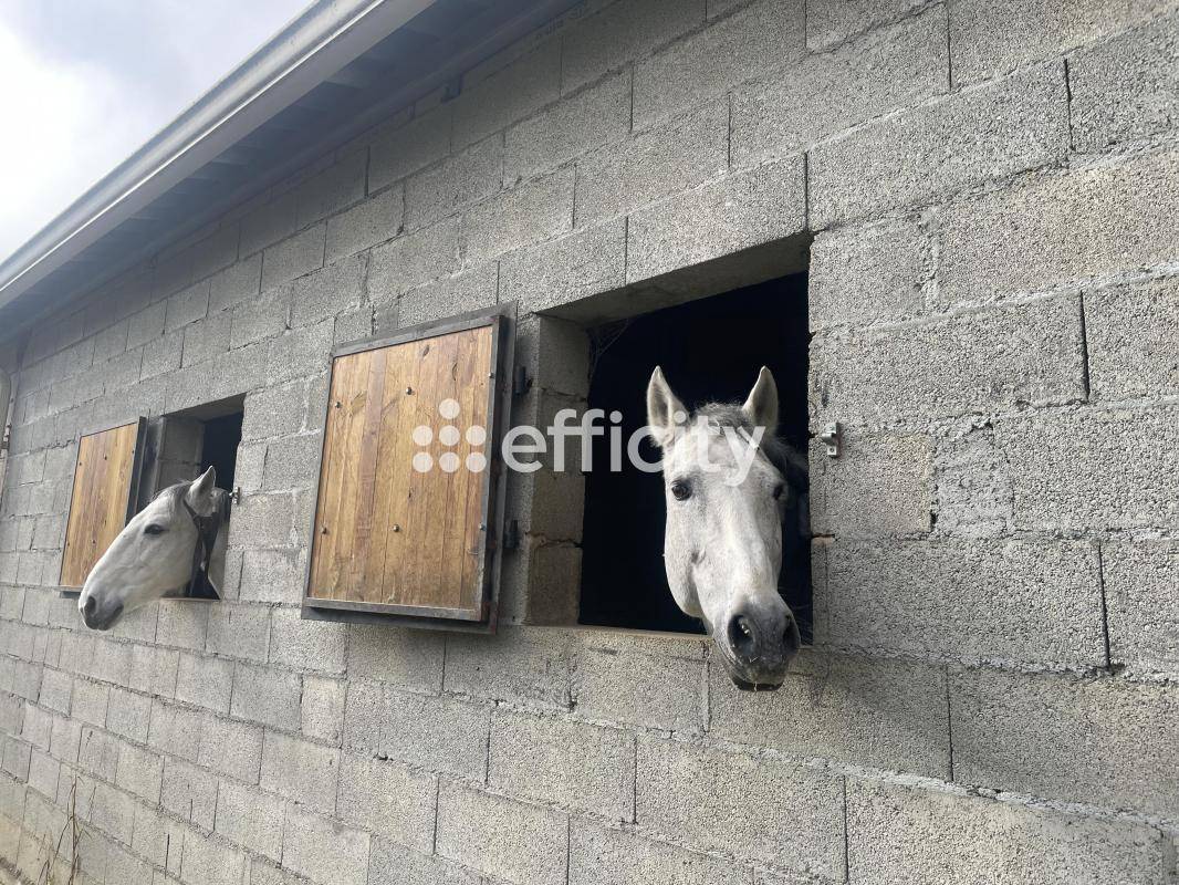 Propiedad ecuestre En venta Gers