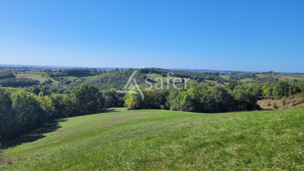 Explotación agrícola En venta Tarn