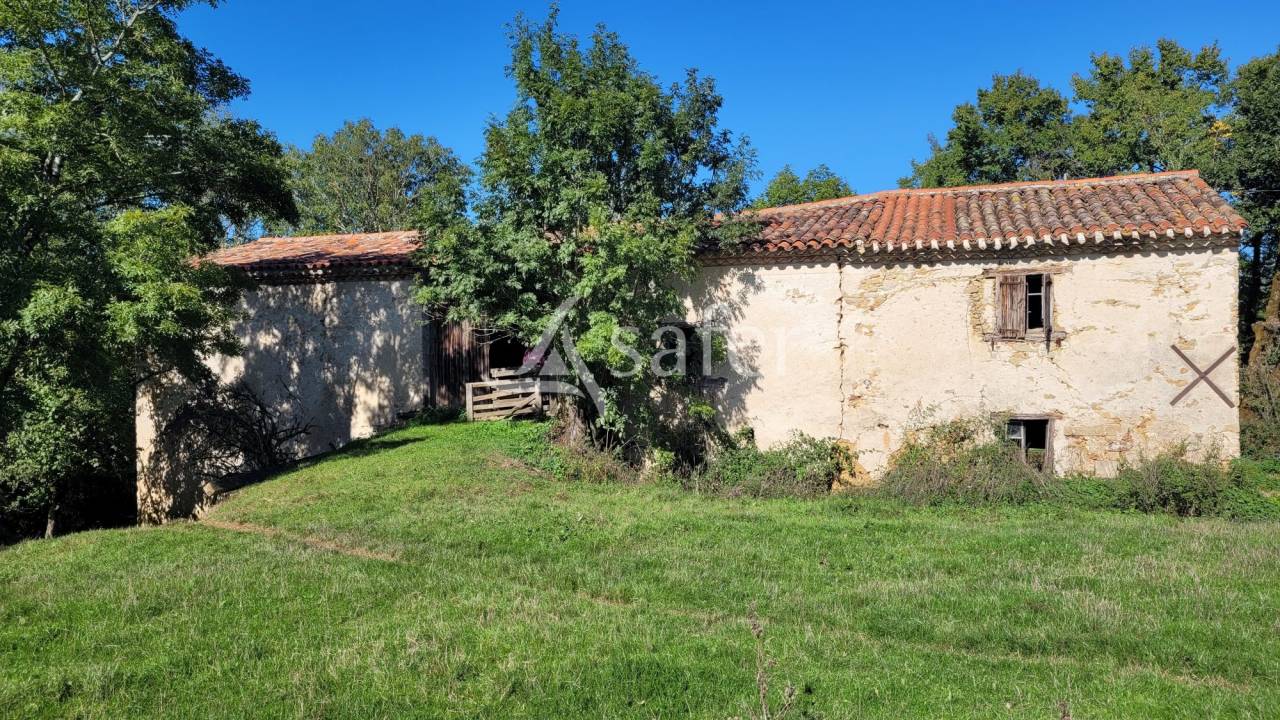 Explotación agrícola En venta Tarn