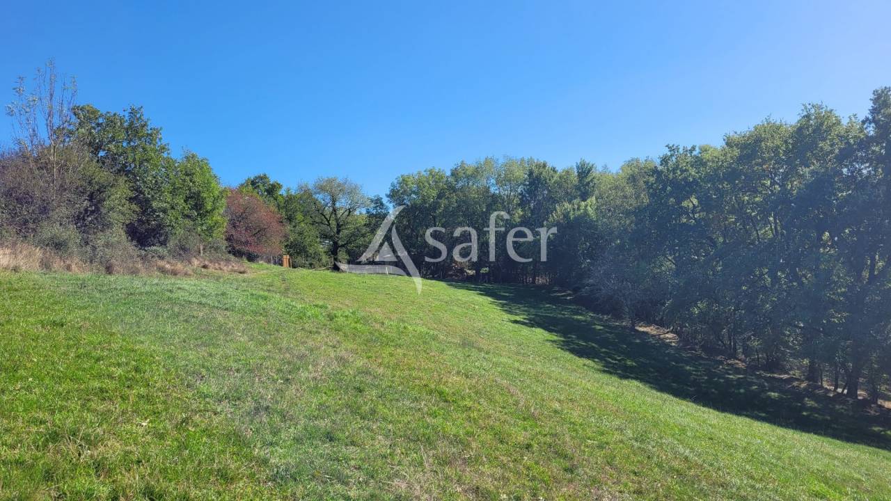 Explotación agrícola En venta Tarn