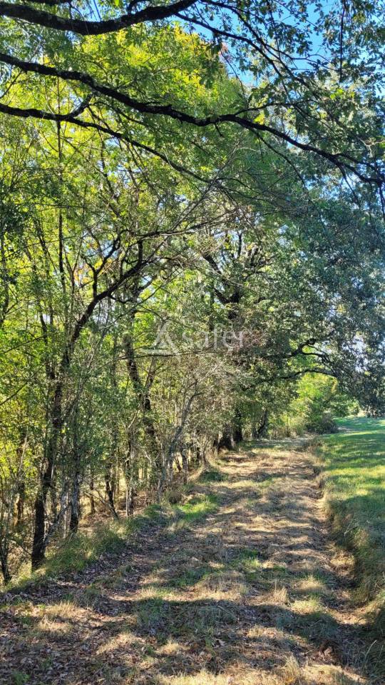 Explotación agrícola En venta Tarn