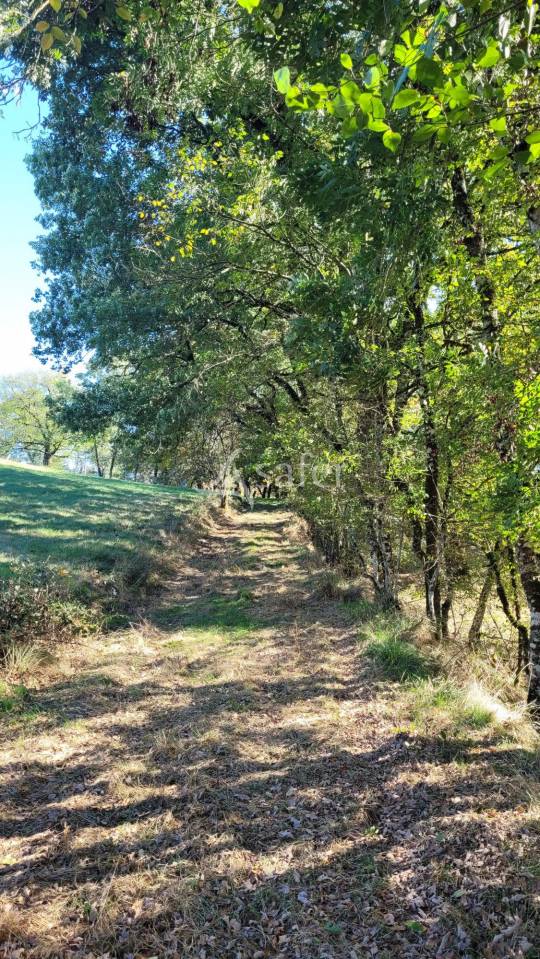 Explotación agrícola En venta Tarn