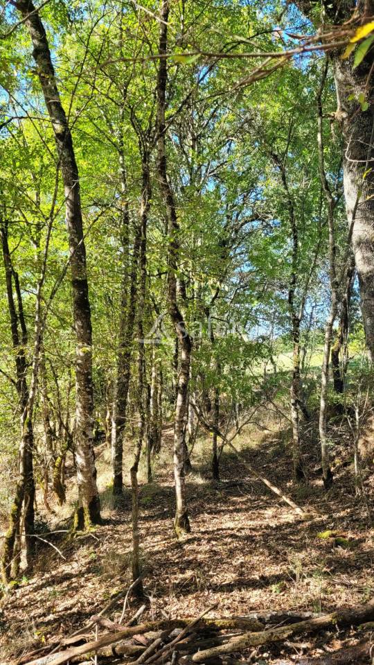 Explotación agrícola En venta Tarn